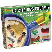  La Cité Des Fourmis