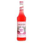 SIROP Bouteille de sirop Monin bubble gum