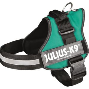 Harnais Power Julius-K9 - 2 - L-XL : 71-96 cm-50 mm - Vert - Pour chien