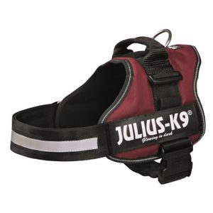 Harnais Power Julius-K9 - 2 - L-XL : 71-96 cm-50 mm - Bordeaux - Pour chien