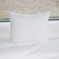  BLEU CALIN Lot de 2 oreillers ECOLOGIQUE 60x60cm