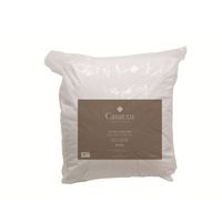 OREILLER - TRAVERSIN  CASATXU Lot de 2 oreillers 1er prix 60 x 60 cm