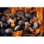 LOKKII Briquettes barbecue "Light the Bag" 100% b