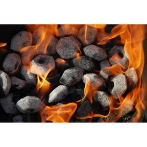LOKKII Briquettes barbecue "Light the Bag" 100% b