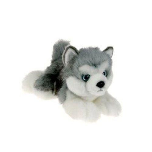 husky peluche