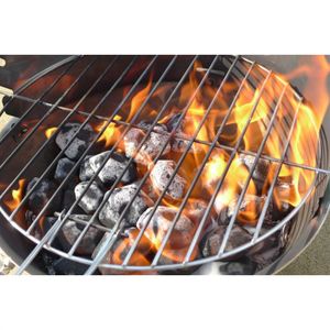 LOKKII Briquettes barbecue "Light the Bag" 100% b
