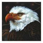 VARIETE INTERNATIONALE MOGWAI