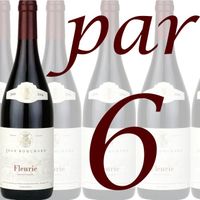  Carton de 6 Fleurie Jean Bouchard 2006