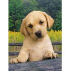 PUZZLE Clementoni Cute Puppy Puzzle