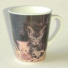 BOL - MUG - MAZAGRAN Chope blanche Conique décalcomanie Chatons