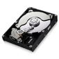 DISQUE DUR INTERNE Disque dur interne F3EG HD503HI 3,5" - 500 Go