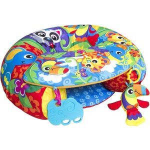 PLAYGRO Coussin cale bébé ? activités