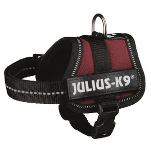 Harnais Power Julius-K9 - Baby 1 - XS : 30-40 cm-18 mm - Bordeaux - Pour chien
