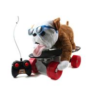 Buddy le chien skater Buddy le chien skater