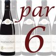 VIN ROUGE Carton de 6 Côtes de Nuits Villages J. Bouchard 08