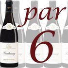 VIN ROUGE Carton de 6 Santenay Bouchard 2008