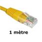 CABLE RESEAU - TELEPHONIE Elypse Câble Rj45 Cat 6E