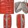 SET DE VALISES KINSTON 3 Valises trolley 4 roues + Vanity