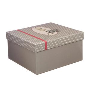 Boîte de rangement GM assortis