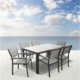 SALON DE JARDIN - ENSEMBLE TABLE CHAISE FAUTEUIL Salon de jardin Tobago 6 personnes