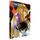DIGIP COLL 2 DVD ST SEIYA
