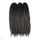 Gris Dark Shadows Two Tone 22 '' 12strands 120g /