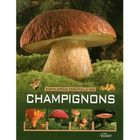  ENCYCLOPEDIE ESSENTIELLE DES CHAMPIGNONS