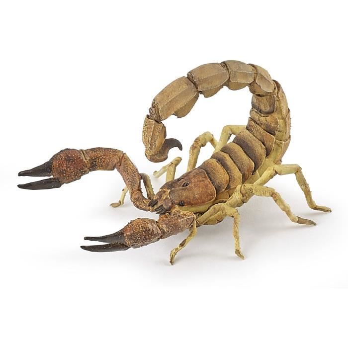 papo-scorpion-papo.jpg