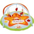 TAPIS EVEIL-AIRE BEBE KATHERINE ROUMANOFF Tapis d'éveil Le Petit Roi