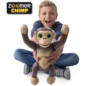 ZOOMER Chimp Robot singe Intéractif et radiocommandé Spinmaster