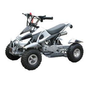 Pocket Quad Electrique 500W Blanc et Noir