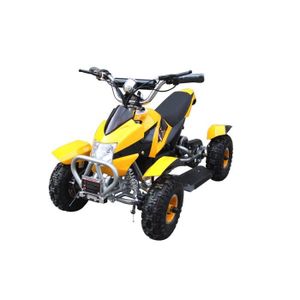 Pocket Quad Electrique 500W Noir et Jaune