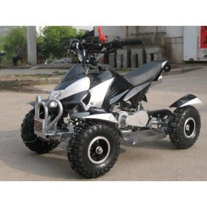 Pocket Quad Electrique 500W Noir et Blanc