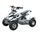 Pocket Quad Electrique 500W Blanc et Noir