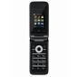 TELEPHONE PORTABLE ZTE R620 Noir