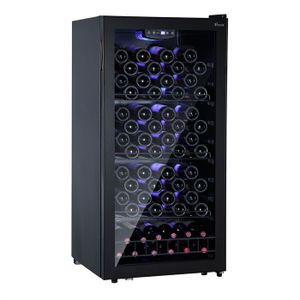 CAVE A VIN  VINEAA 100SV