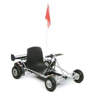 KART Karting électrique solaire 350 w 24v Vert Foncé