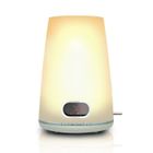 LAMPE LUMINOTHERAPIE - SOLARIUM VISAGE - LAMPE COLLAGENE PHILIPS HF3471/01