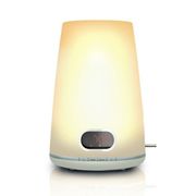 LAMPE LUMINOTHERAPIE - SOLARIUM VISAGE - LAMPE COLLAGENE PHILIPS HF3471/01