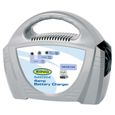 CHARGEUR DE BATTERIE Ring Chargeur de batterie 4 Amp 12 Volts