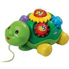  Tourni Tortue