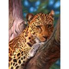  Puzzle Le Leopard - 500pcs