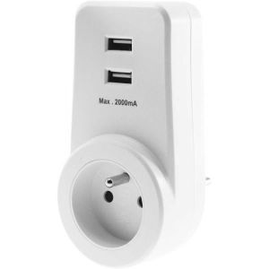 VOLTMAN Prise murale 2 Pôle + terre - 16 A + 2 Ports USB