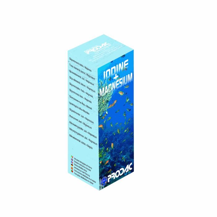 Que Faut Il Pour Un Aquarium que faut il pour aquarium eau de mer Que Faut Il Pour Un Aquarium que faut il pour aquarium eau de mer