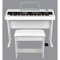 INSTRUMENT À CORDES DELSON NP10 Blanc