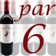 VIN ROUGE Carton de 6 Clos du Cheval Blanc Côtes de Bourg 10
