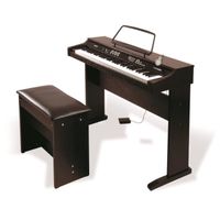 INSTRUMENT A CORDES DELSON NP10 Noir
