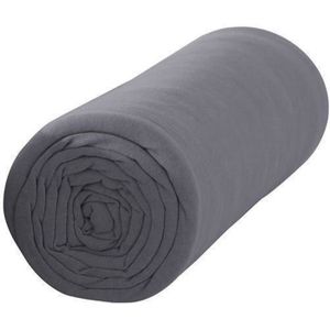 TODAY Drap Housse 140x190cm CANON DE FUSIL