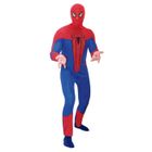 DÉGUISEMENT - PANOPLIE Déguisement Spider-Man "The Amazing"
