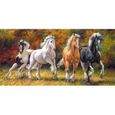 Puzzle Born to Run Achat / Vente puzzle Cadeaux de Noël